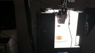 Celebrity Prototype testing: СomplexScan AUTOBOX v1 Profile