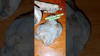 OMG!! Agate and Fossil overload!!#stones2gems #fyp #agate #fairburn #southdakota #baculite #omg #wow