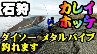 【釣り】北海道石狩ダイソーメタルバイブ・ホッケ・カレイ（岩内・小樽でも使用）。セリア メタルジグ（赤金）も釣れます。１００円：Easy fishing with a cheap jig 