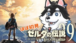 【はじめてのゼルダの伝説】＃29 まだまだまだまだコログ【BotW】