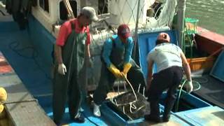 다큐멘터리 3일 - Three Days 20101003 # 002
