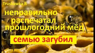 Пчёлы. Главная ошибка весной, перекормить  пасеку. Как пчёл перекармливают, и они пропадают за месяц