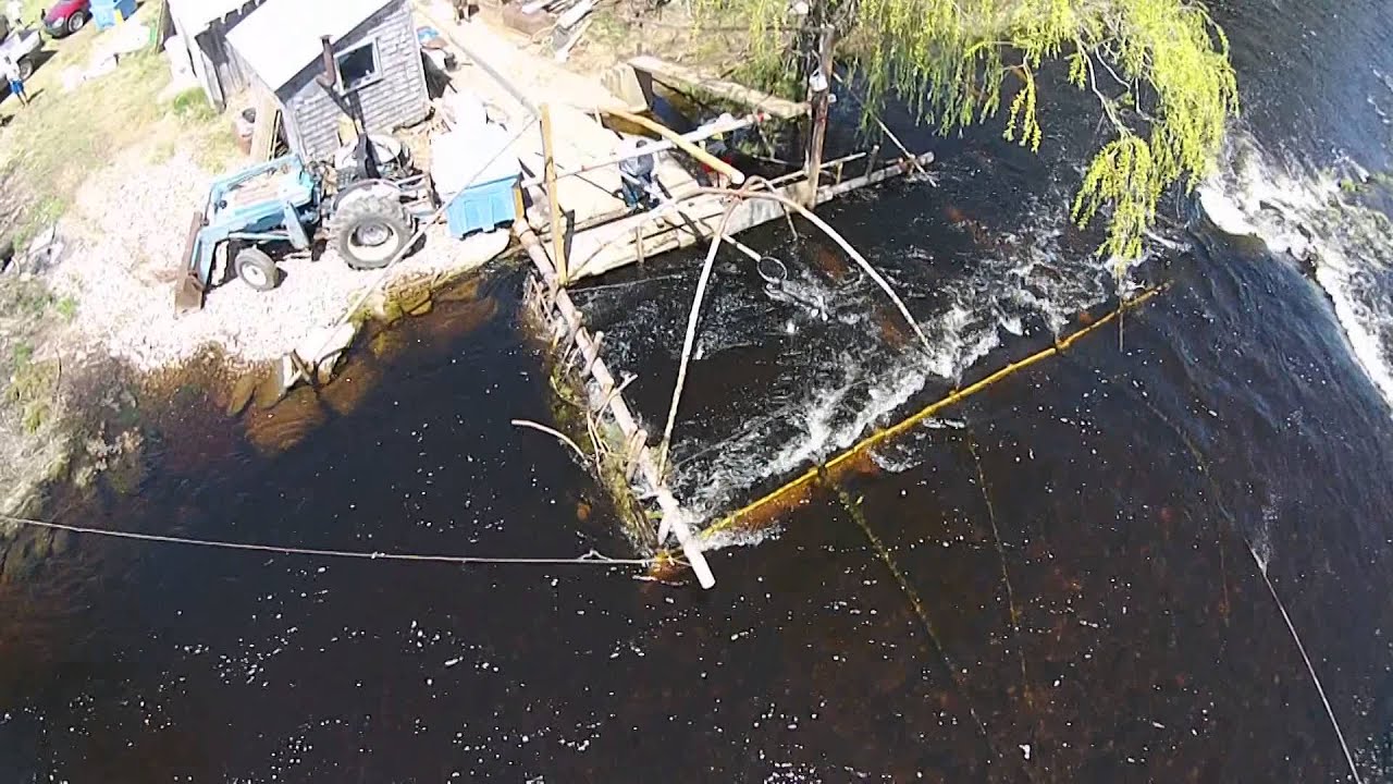 Gaspereau fishing YouTube