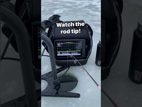 Chasing basin crappie