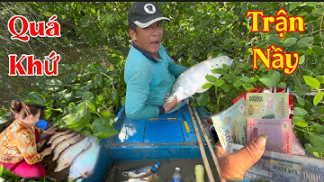 Thả Câu Thác Lác Cờm Trúng Đậm HÀNG KHỦNG /Định Nguyễn Hậu Giang