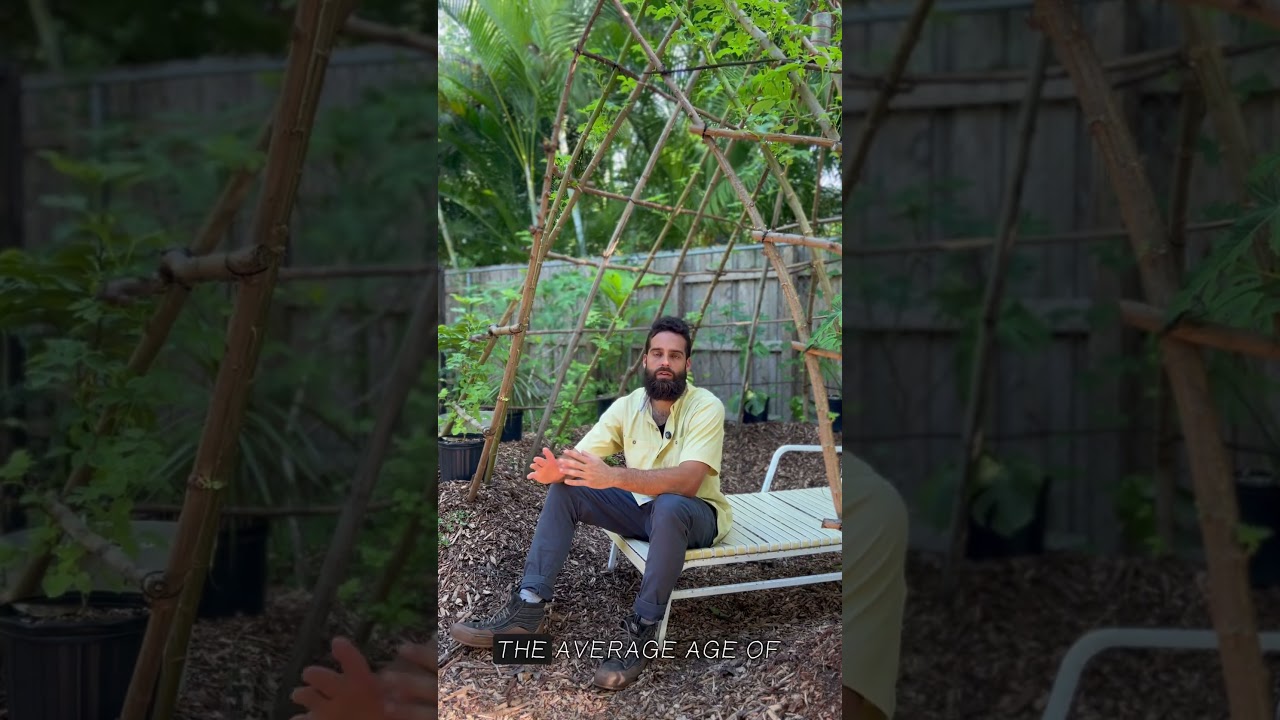 PRO TIPS | Day 2 | ENJOY