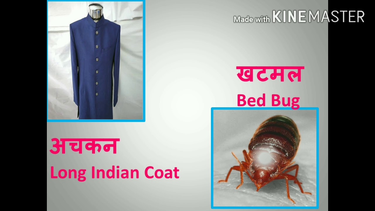 Hindi Three & Four Letter Words(Lesson-5) 