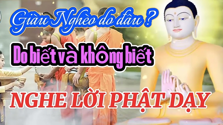 So sánh số lượng loài hổ với loài báo