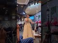【応援歌】ページ/ふだのみき #日本クラウン#ふだのみき#ページ#シンガーソングライター#新曲#応援歌#デビュー曲#SSW#デビュー#ライブ#編集#歌詞動画
