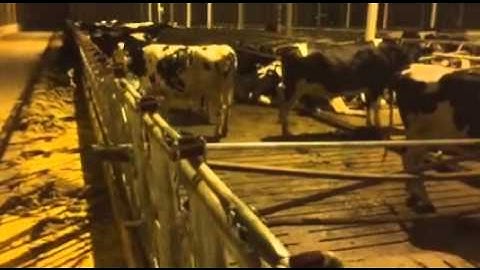 Farm with 4 Lely robots