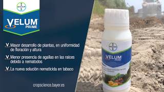 Aplicación precisa de Velum® Prime con Fieldview™  Protege tu cultivo de nematodos