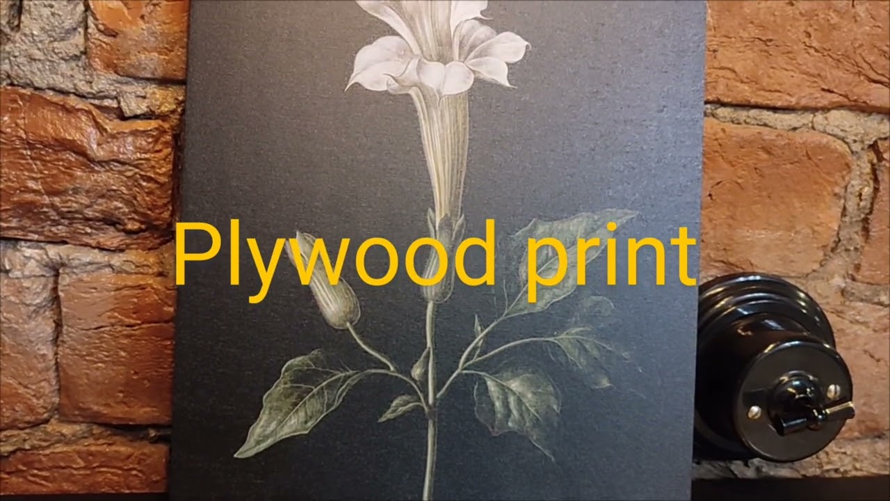 Datura Witch Flower Print | Barbara Dietzsch Botanical Wall Decor