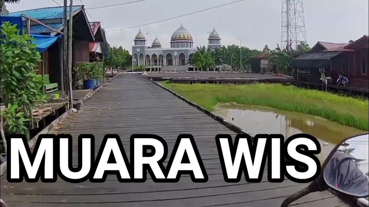 Motor vlog Sepanjang jalan Kotabangun-Muara wis