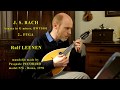 BACH - Sonata in g minor (BWV1001) - FUGA - Ralf LEENEN