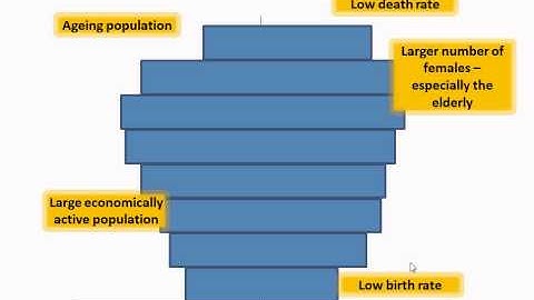 MEDC population pyramid explained