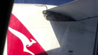 Python on Plane