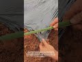 Bamboo Mulch Fix Hack🌱🧐