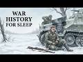 How Winter Destroyed the German Army Before Stalingrad