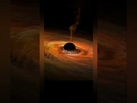 other black holes