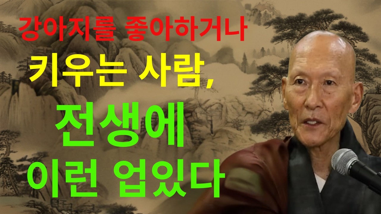 법정 스님 명언 | 강아지를 좋아하거나 키우는 사람, 전생에 이런 업있다