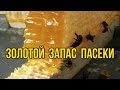 Большие медосборы. Золотой запас пасеки. Сушь и её применение