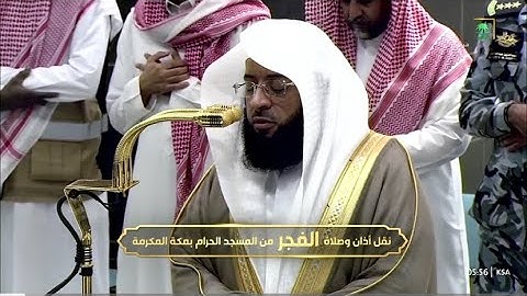 تلاوة هادئة لخواتيم سورة القصص للشيخ بدر التركي | فجر الجمعة 24-7-1446هـ
