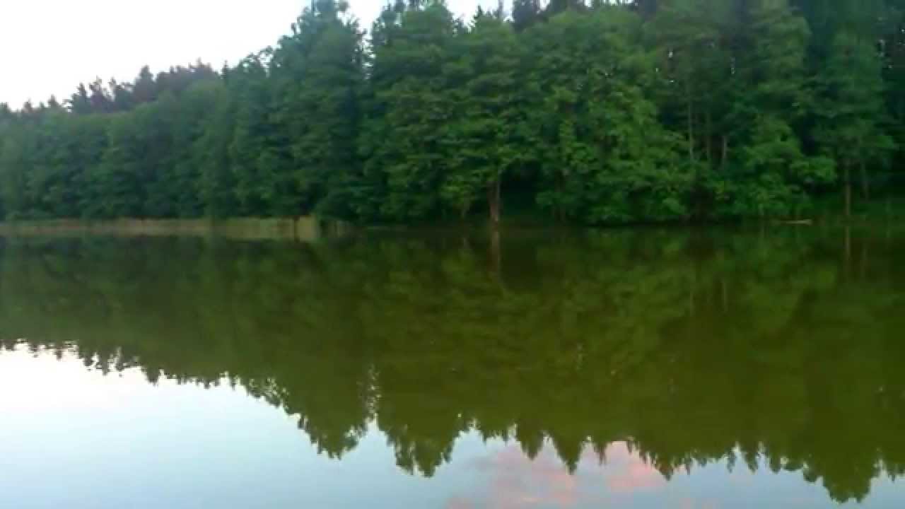 Wieczorna panorama jeziora Czarna Kuta - widok z pomostu ...