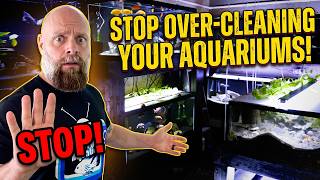 This Will DESTROY Your Aquarium: STOP Over Cleaning Your Fish Tank!
