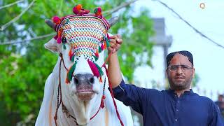 Sacchal’s 2 Dant Mela Winner 2024