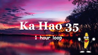 Ka Hao - 35 ( feat. Rob Ruha ) ( 1 hour version )