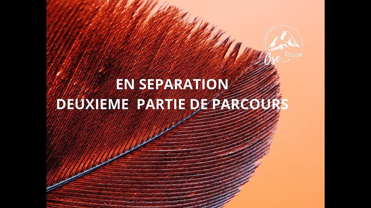 💡FJ : 2 partie de parcours en séparation expliqué par le premier éveillée chaser Yin innée