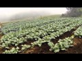 JJ Paniagua, un pionero de la agricultura orgánica en Costa Rica