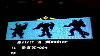 Beast Wrestler [Sega Genesis]
