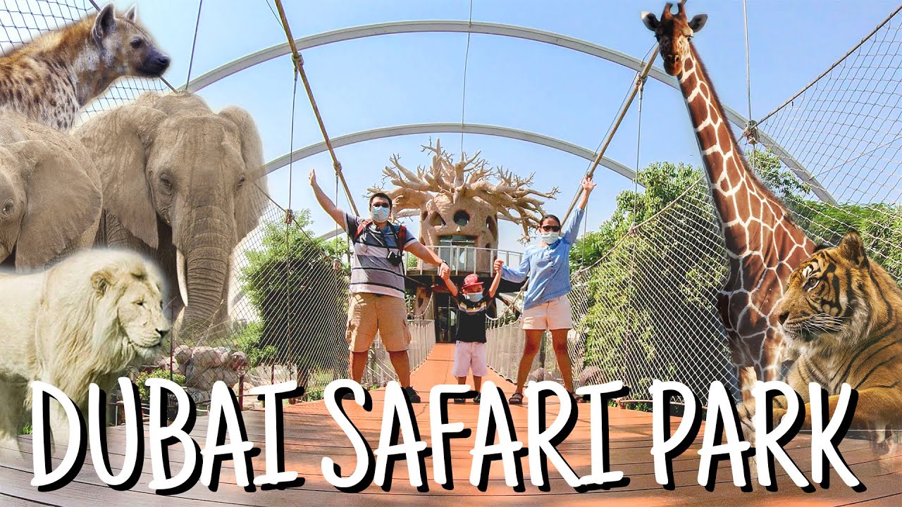 dubai safari park adventure