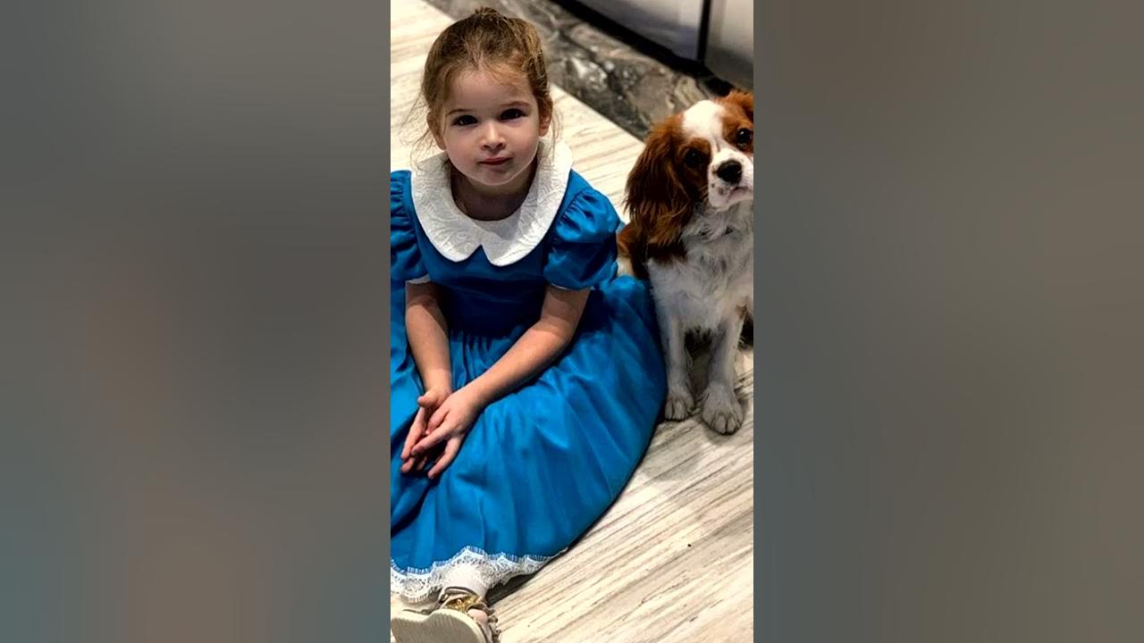 какая порода у бородиной. собака ксении бородиной. спаниель у бородиной. собака бородиной берти. собака бородиной берти.