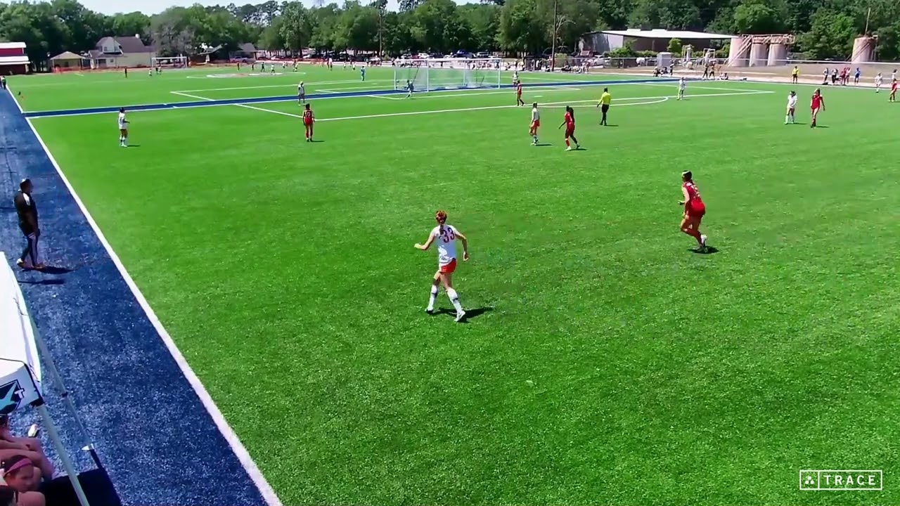 Distribution highlights