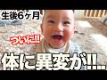 「ついに出てきた!!..」生後6ヶ月赤ちゃんの成長がすごい！！！それを見たドイツ両親の反応が最高すぎた！