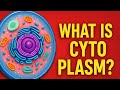 Cytoplasm||Cytoplasmic Streaming||