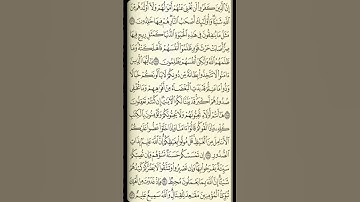 تلاوة سورة آل عمران من الآية 116 إلى الآية 121