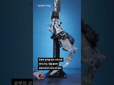 테슬라 공장 로봇이 사람을 공격해 중상 입혔다