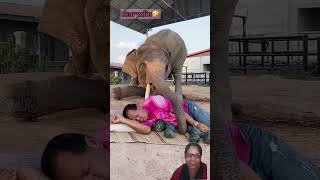 aapko video achcha Lage to like Karen share Karen #twitterati #viraldesai #viraltoday #viralnow