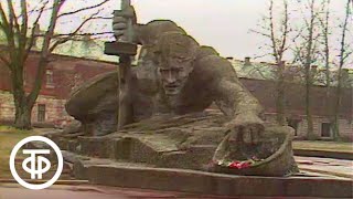 видео: Из цикла  картинка: Из цикла