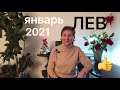 🔴 ЛЕВ  🔴 Январь 2021