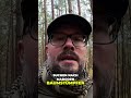 Kienspan | Reinster feinster Zunder | Feuerabend | 2025  #survival #bushcraft #kienspan