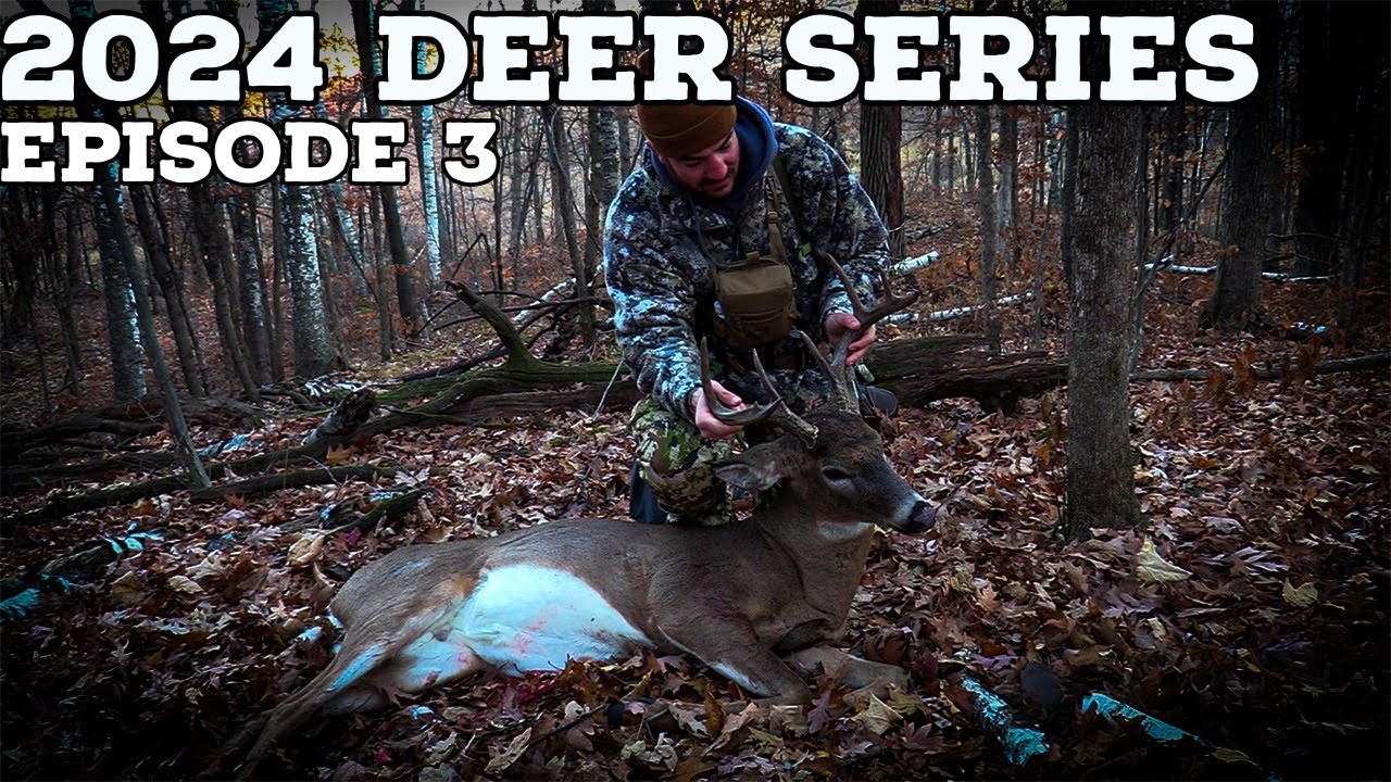 "Public Land Minnesota Bow Buck!" 2024 Deer Series Episode 3