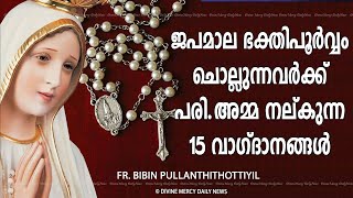 The 15 Promises Of The Rosary | Fr. Bibin Pullanthithottiyil Powerful Message
