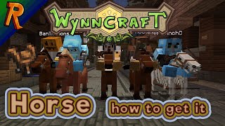 How to get Horses on Wynncraft (also Fast Travel)