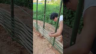 Download Lagu Bamboo Strip Weaving Method - Bamboo Fence MP3