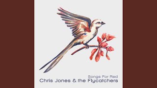 Video thumbnail of "Chris Jones & the Flycatchers - Try"