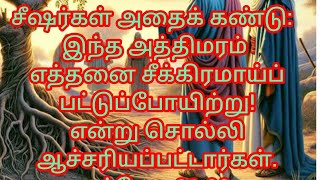CCH | Bro Abraham A | Testimony & Message | ஆதாமே, நீ எங்கே இருக்கிறாய் ? | 18/06/26 | Thu